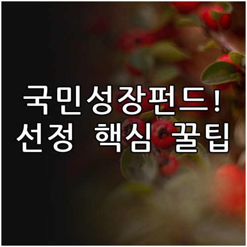 국민성장펀드 자펀드 운용사 선정 기준..