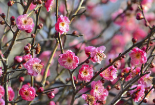 입춘 인사말 이미지 뜻 2026년 입춘시