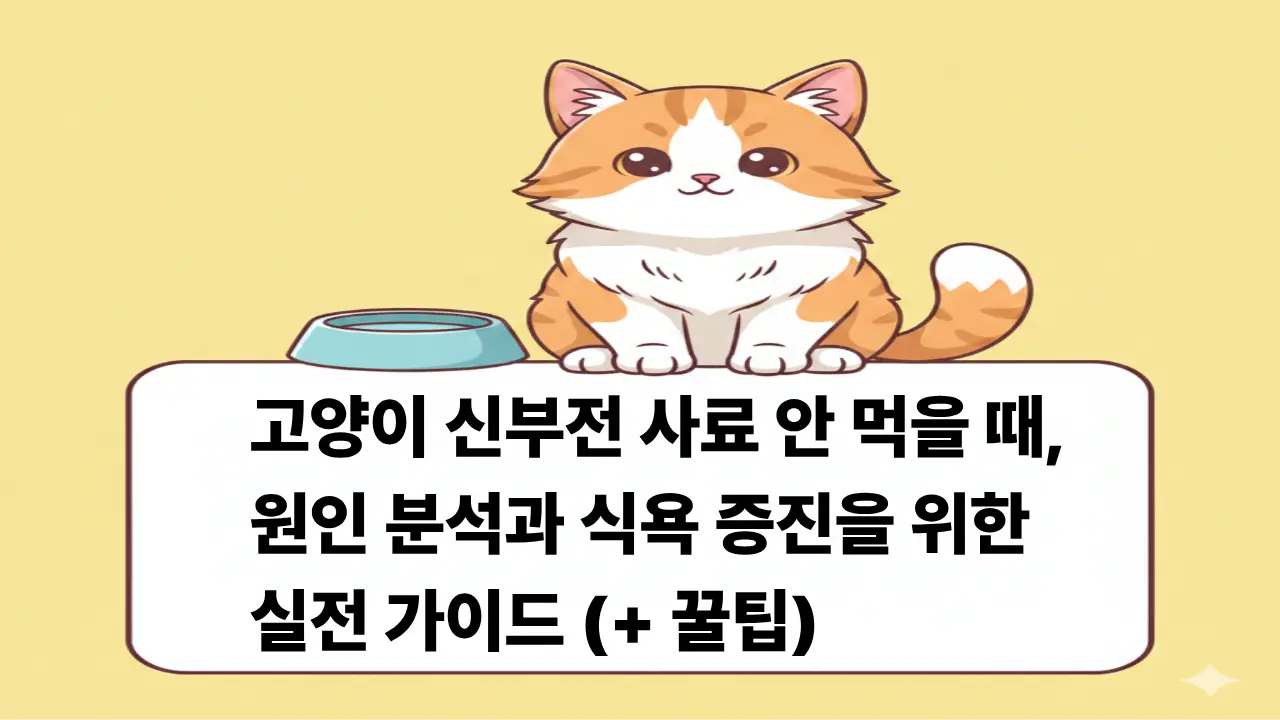 고양이 신부전 사료 거부 원인과 식욕 증진 방법을 설명하는 귀여운 고양이 캐릭터 일러스트 썸네일 이미지