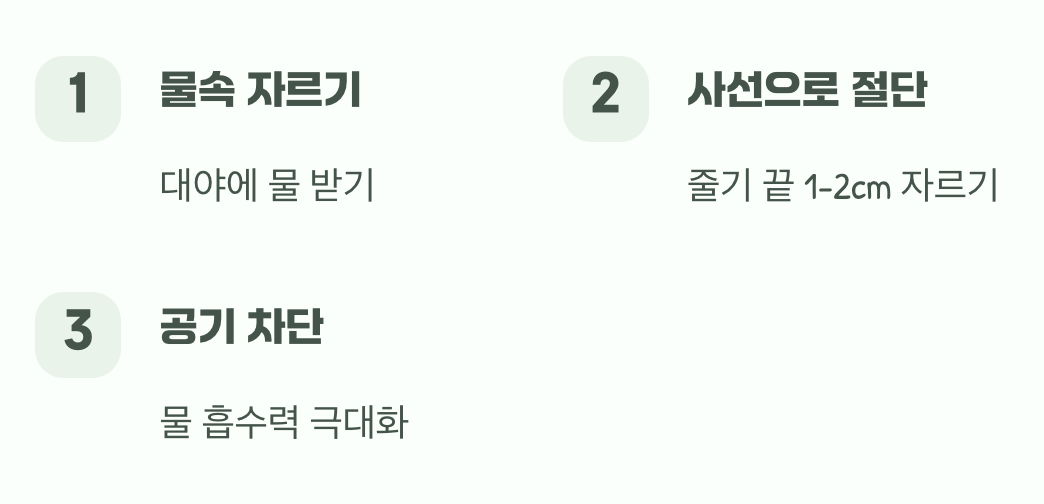 목마른 줄기를 위한 특별한 물올림