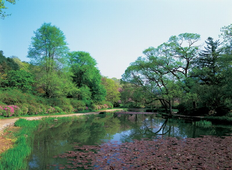 포천 국립수목원 광릉수목원 예약