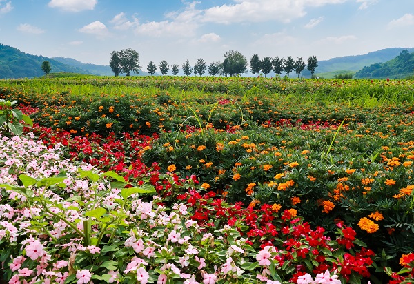연천 가볼만한곳