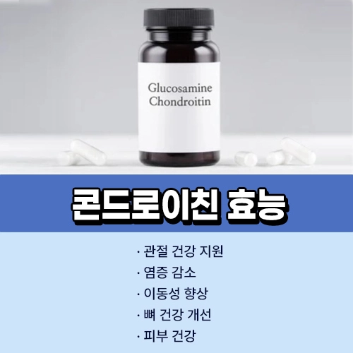 콘드로이친 효능