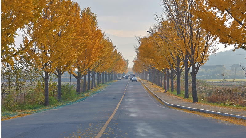 경주 여행의 3색 매력, 천년의 시간 위에 핀 새로움
