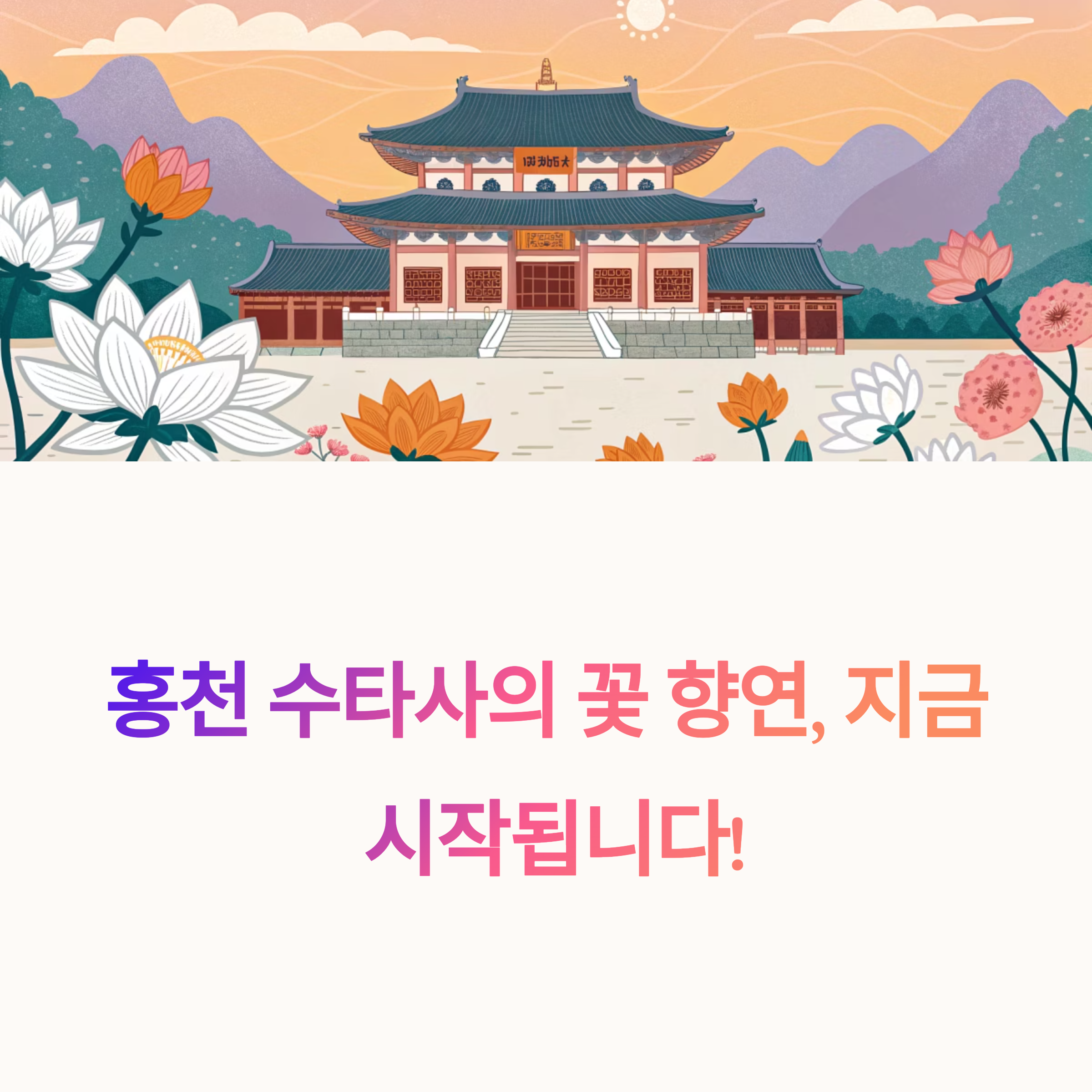홍천 수타사: 불두화와 작약꽃 만개