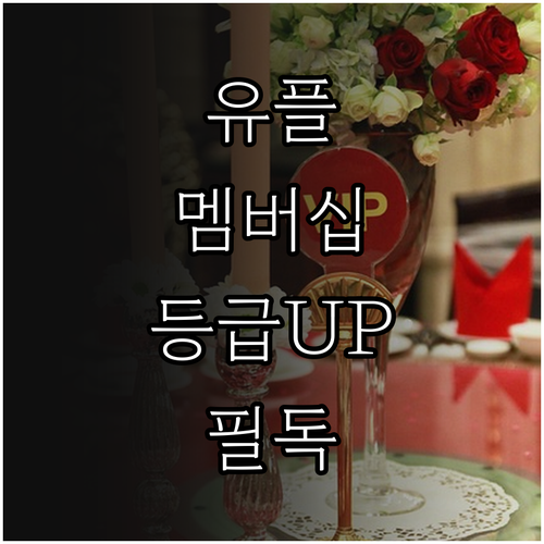 LG 유플러스 멤버십 등급 업그레이드..
