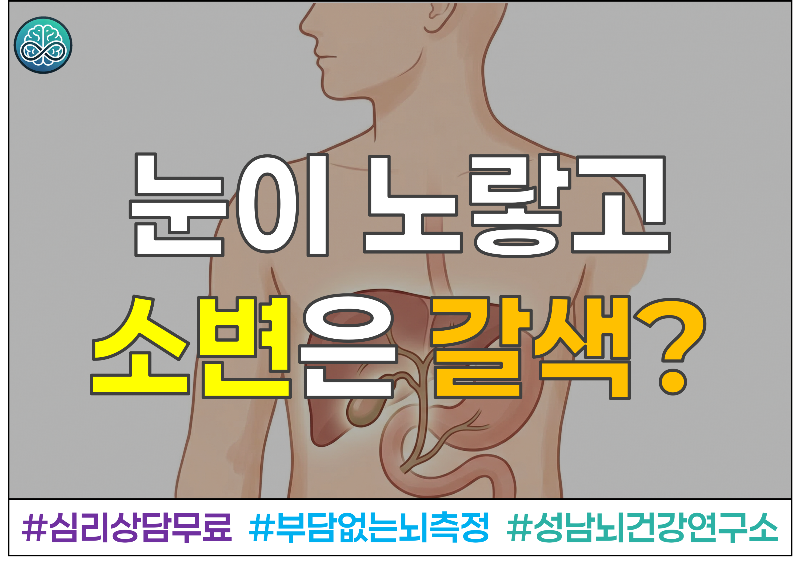 눈이 노랗고 소변이 갈색이라면? 조용한 담도암 증세