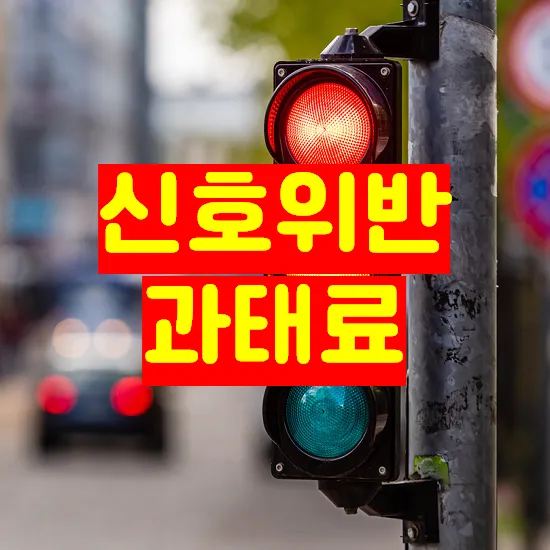 신호위반 과태료