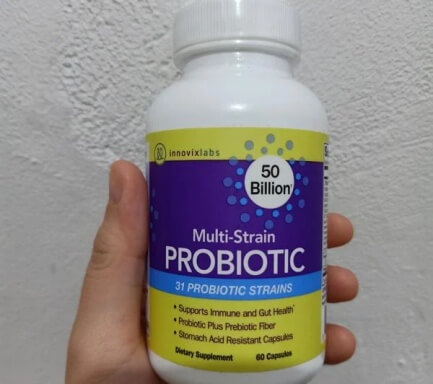 이노빅스랩스 유산균