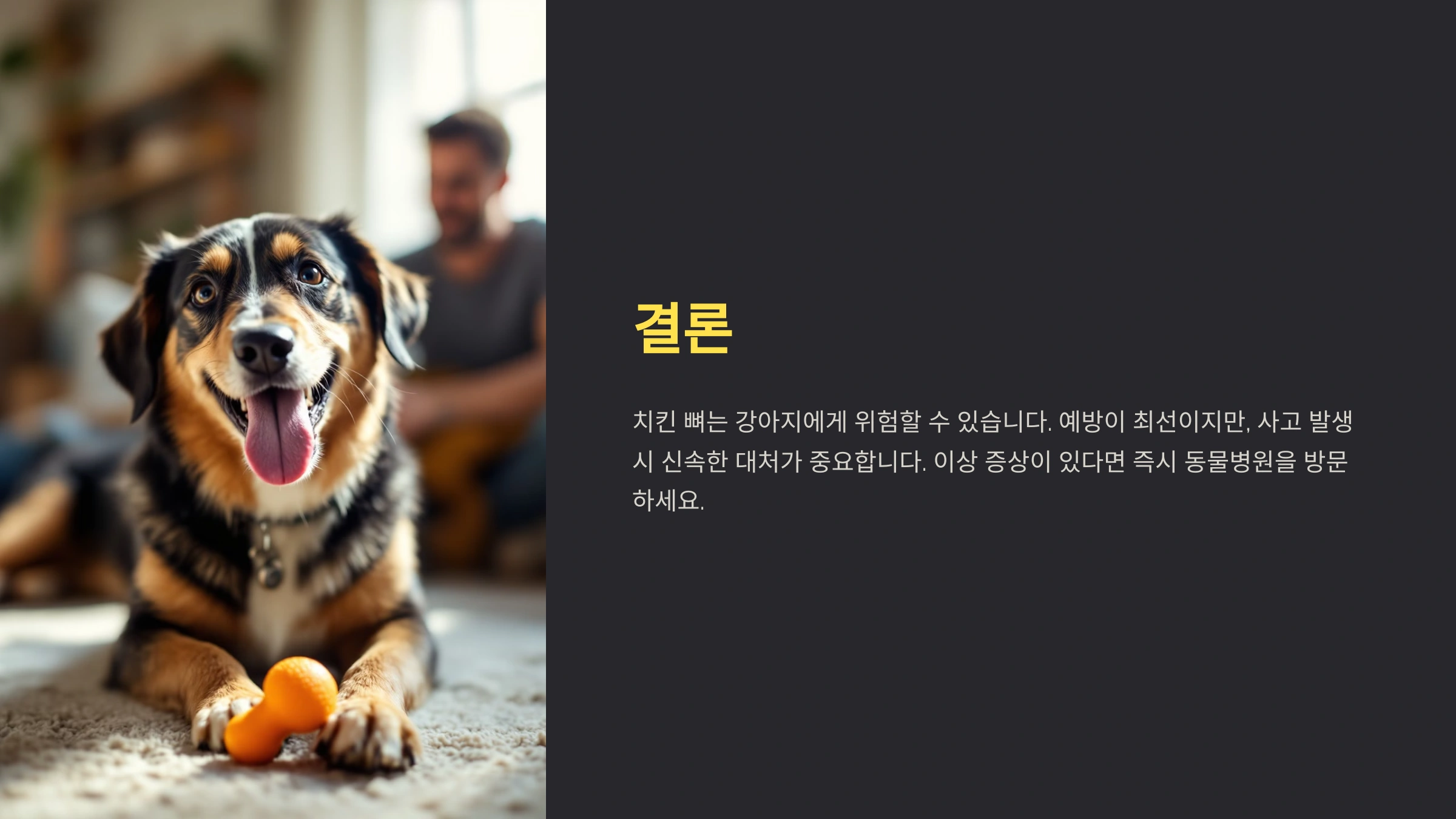 강아지가 치킨 뼈를 먹었을 때의 위험성