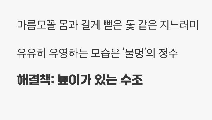 수조를 갤러리로 만드는 우아함