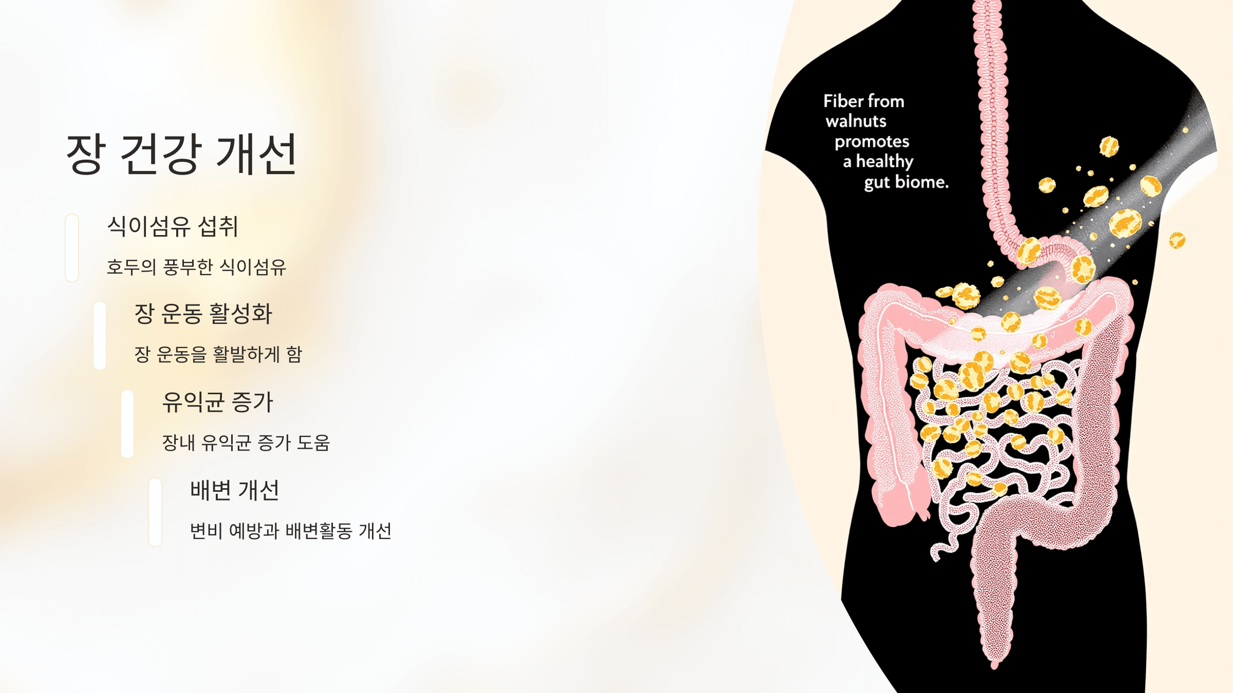 호두 사진입니다.