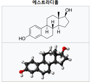 에스트라디올