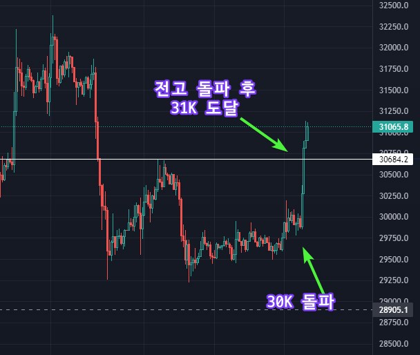 비트 31k 돌파