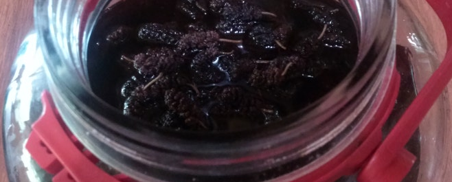 오디 먹는 법2