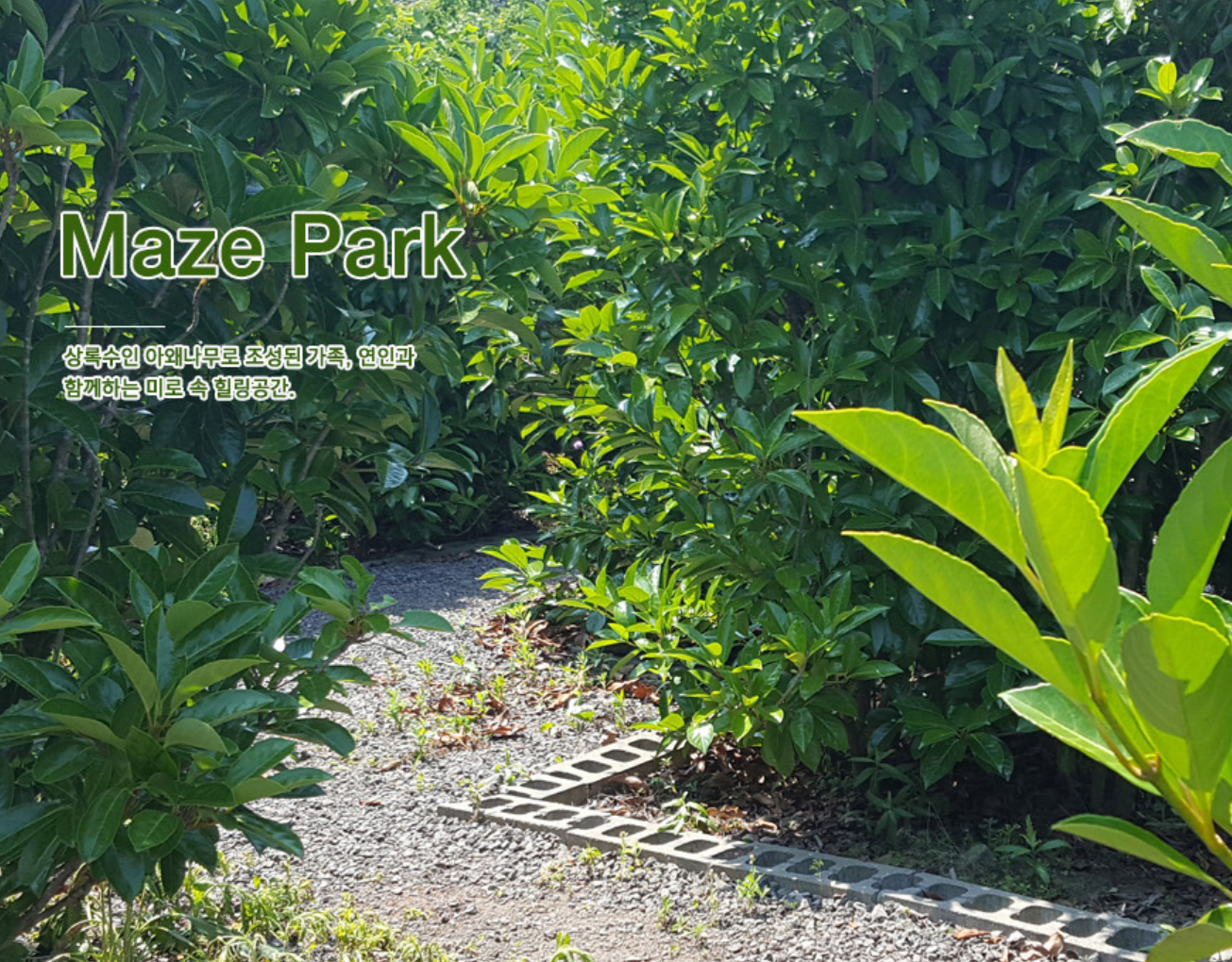 비체올린 미로공원