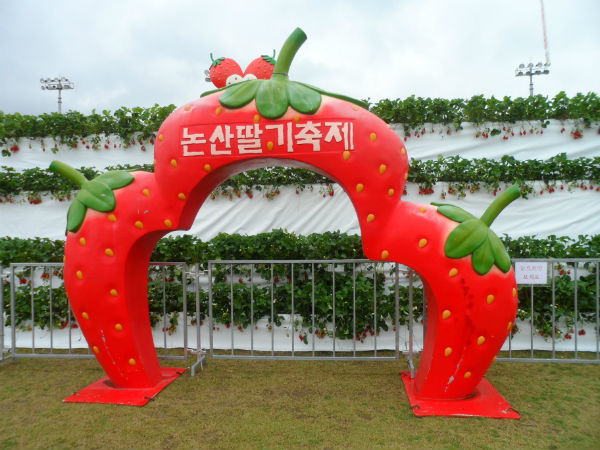 논산딸기축제