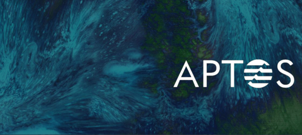 앱토스-심볼명-APT