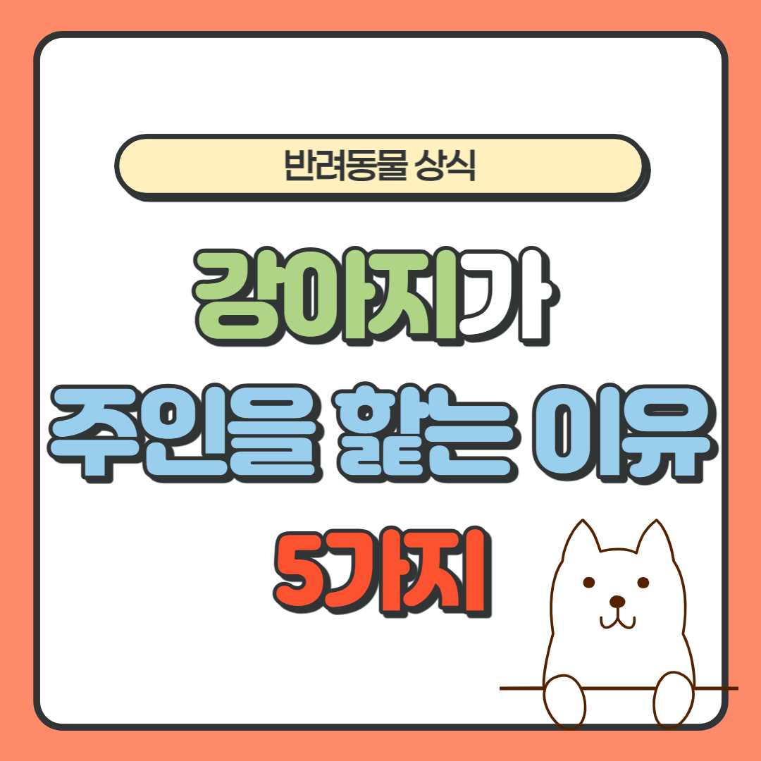 강아지가 주인을 핥는 이유 5가지와 대처방법