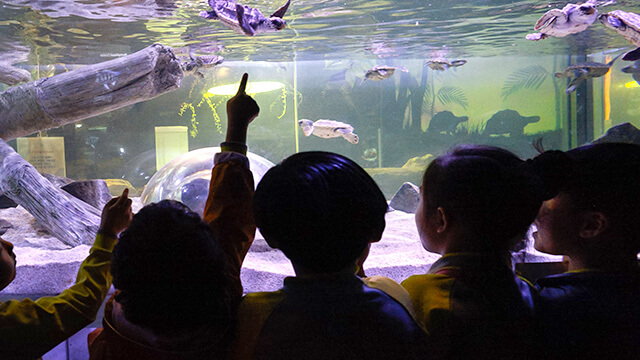 여수 가볼만한 곳 베스트10, 핫플