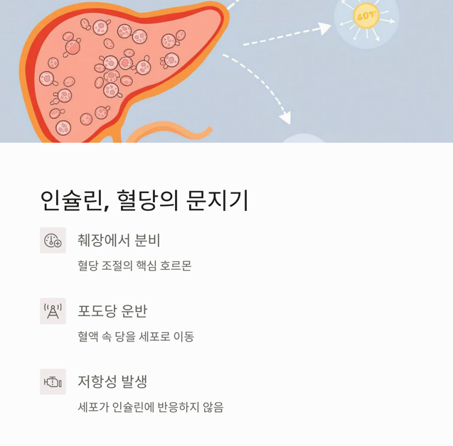 인슐린, 혈당의 문지기