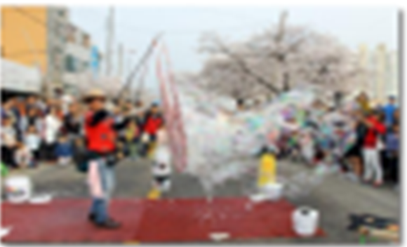 정읍 벚꽃 축제