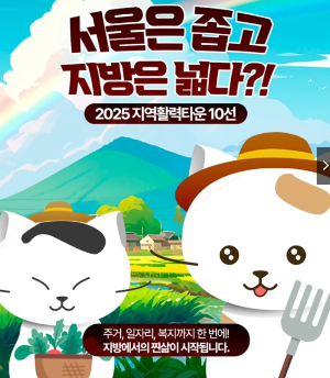 2025 지역활력타운 선정