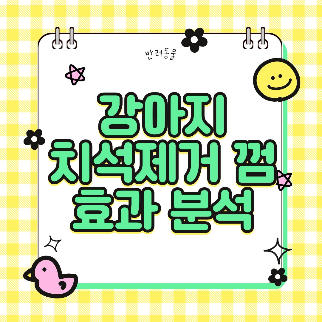 강아지 치석제거 껌, 효과 진짜 있을까?(성분, 작용 원리, 사용 후기까지 분석)