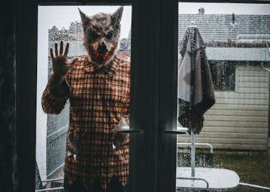 늑대 가면을 쓴 남자