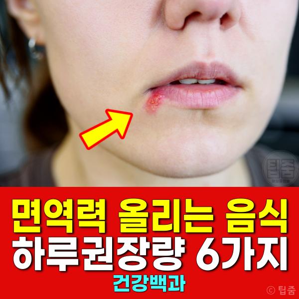 면역력 올리는 음식 하루권장량