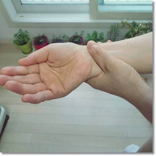 수족냉증에도 좋은 기넥신 효능