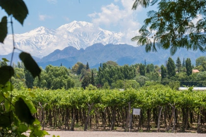 멘도사에서 즐긴 와이너리 투어와 마음에 드는 와인들