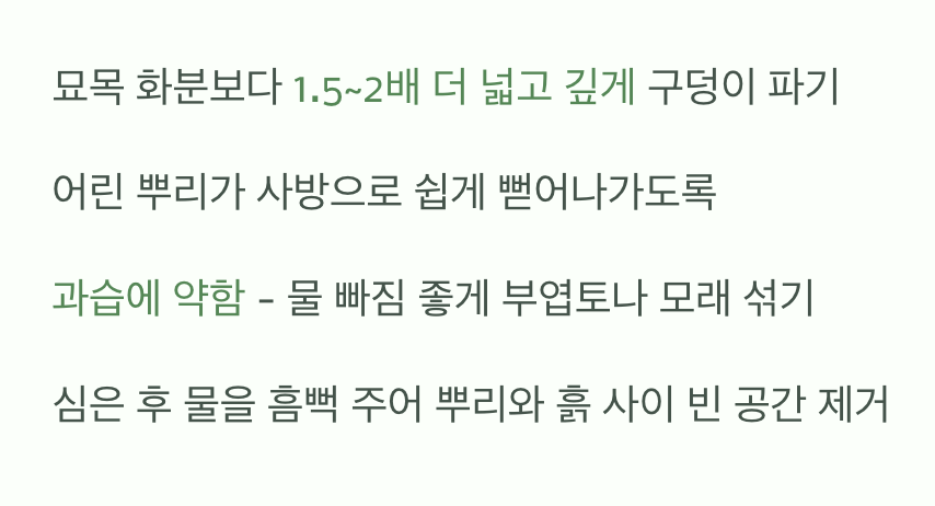 2. 첫 보금자리, 넓고 편안하게 마련해주기