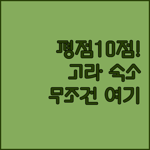 폴란드 젤레니아 고라에서 평점 10점..