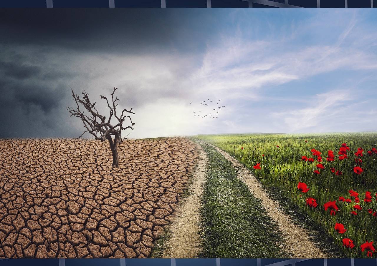 기후변화와 경제발전 도전