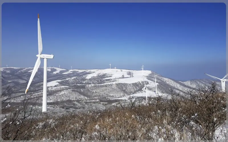 선자령 실시간 cctv, 날씨_1
