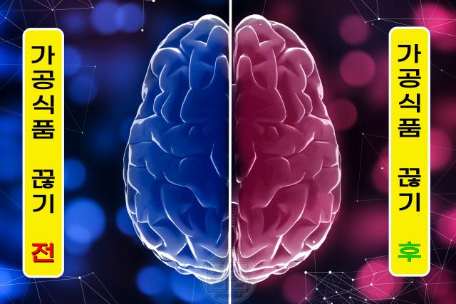 가공식품 끊기 정신 멘탈