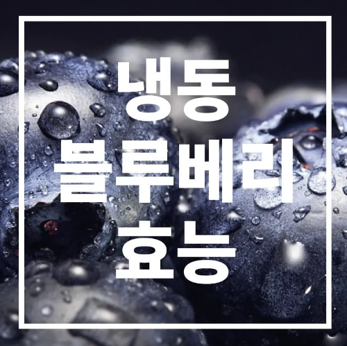 냉동 블루베리 효능