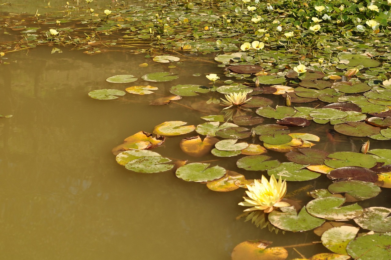 오늘도 새로운 마음으로