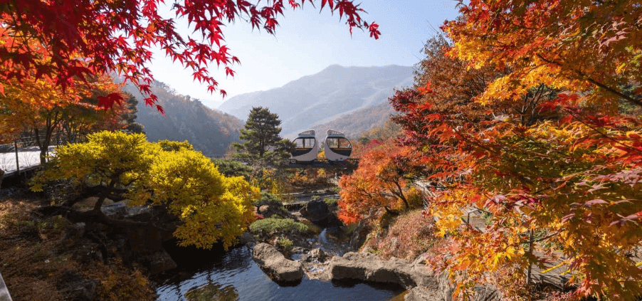 화담숲 가을 단풍 축제