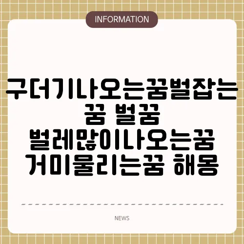 구더기나오는꿈벌잡는꿈 벌꿈 벌레많이나오는꿈 거미물리는꿈 해몽