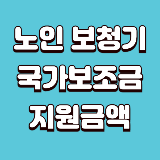 2025 노인 보청기 국가보조금 지원금액