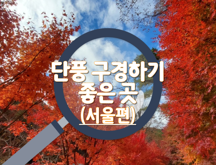 단풍명소