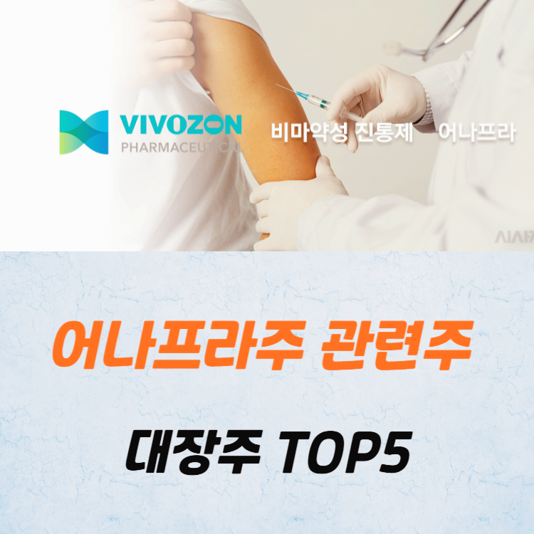 어나프라주 관련주 대장주 테마주 수혜주TOP5