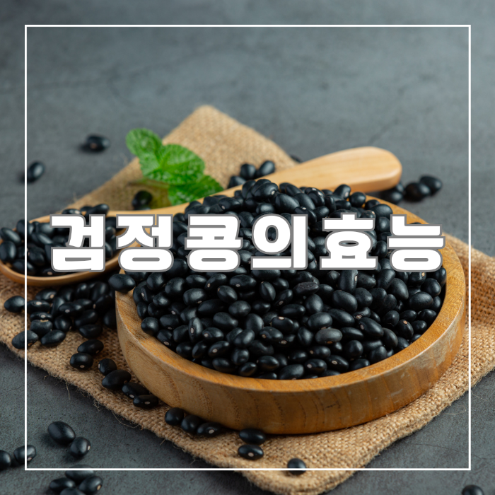 검정콩의 효능