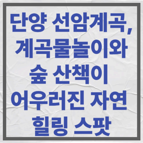단양 선암계곡, 계곡물놀이와 숲 산책이 어우러진 자연 힐링 스팟