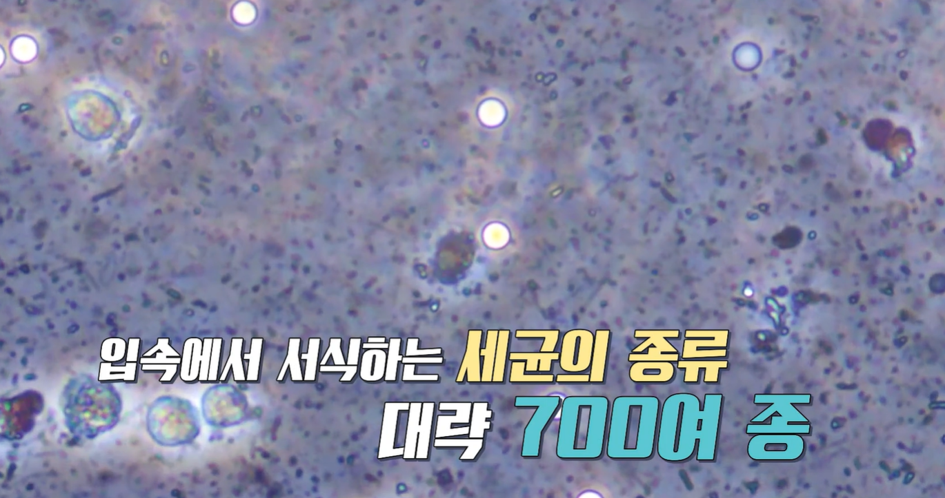 입냄새 원인