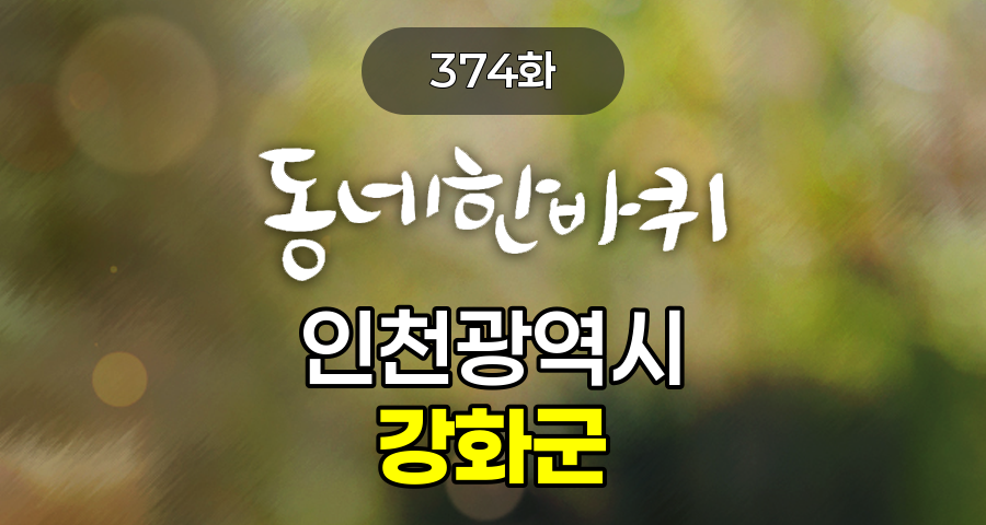 KBS 동네한바퀴 인천광역시 강화군 374화 2026년 6월 13일 맛집 식당 업체 촬영장소 촬영지 정보, 강화섬쌀 모내기, 상황버섯 농부의 행복, 약선오리 식당의 건강한 한 상, 고목에 새겨진 자연의 이야기, 꽃차의 향기로 피어난 행복, 황산도 제철 생선잡이