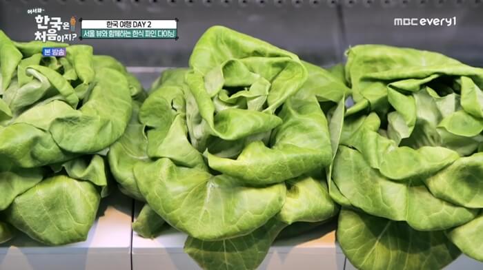 그린버터헤드-상추