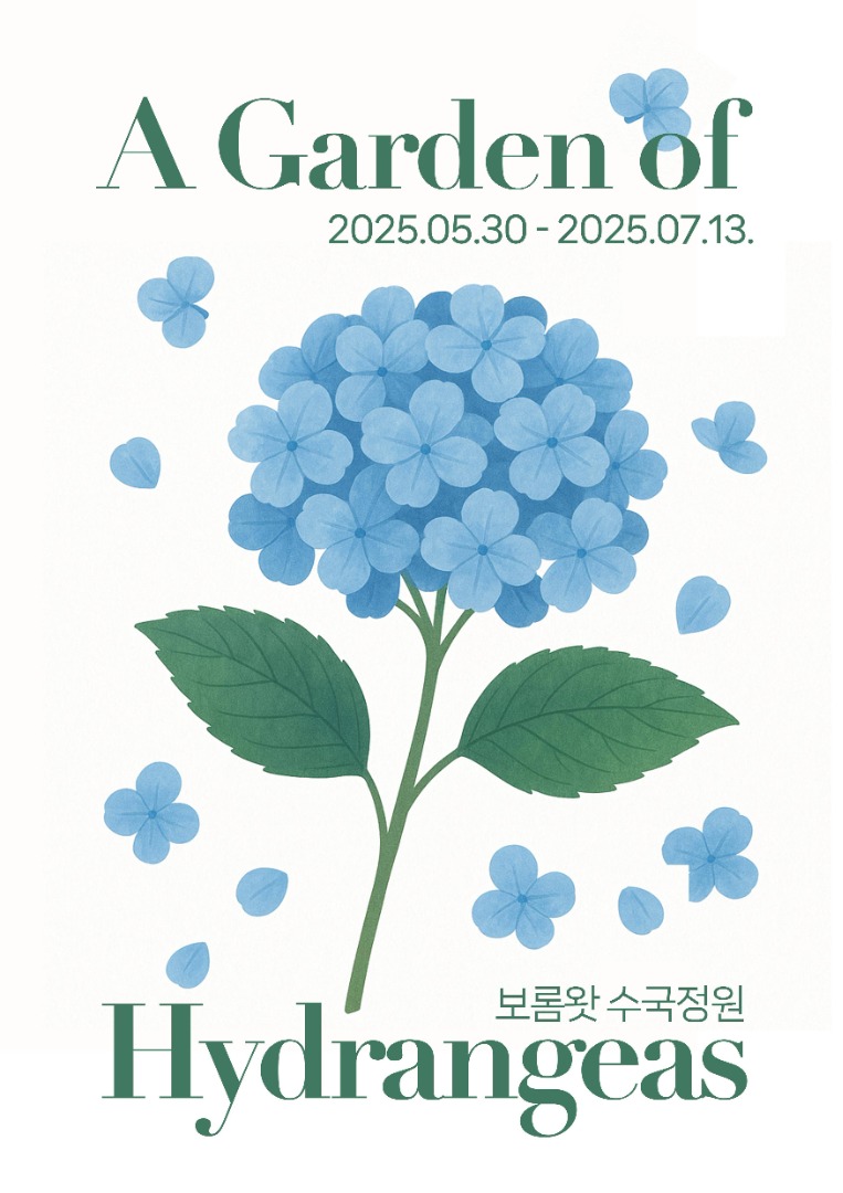 보롬왓 수국정원 축제